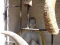 maezima_2007-03-16_14-03-08_fs